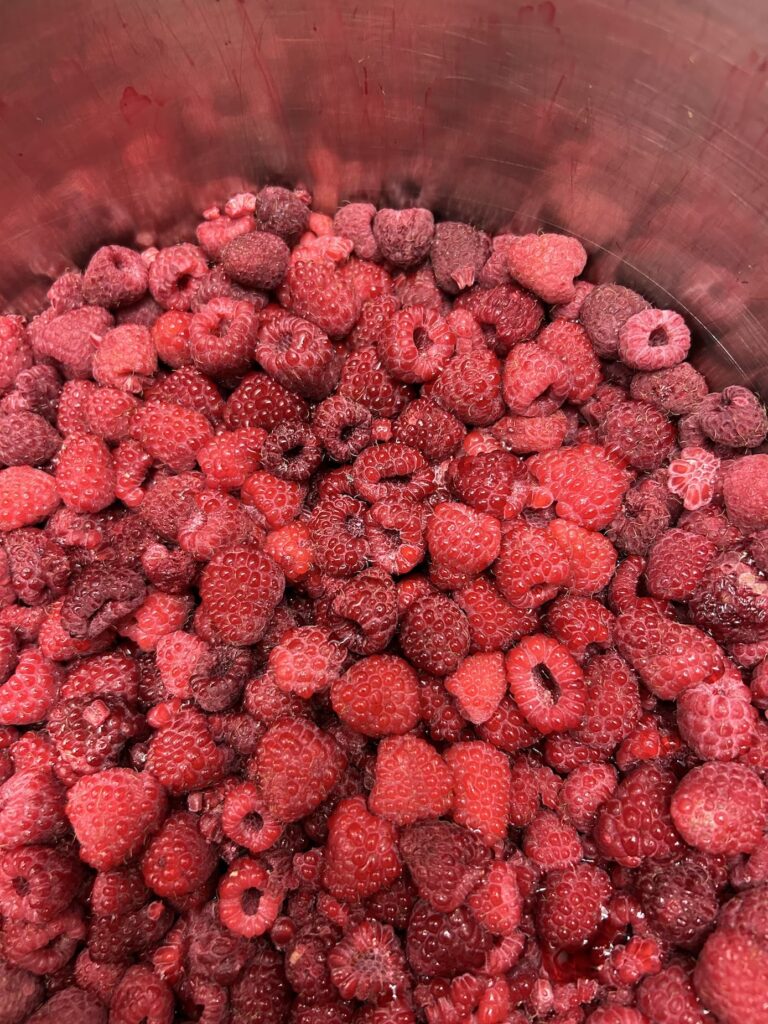 Herstellung Himbeereis, veganes Sorbet